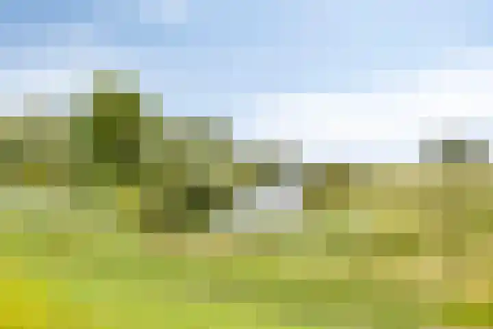 Kuipersveer 31 Heinenoord thumbnail 27