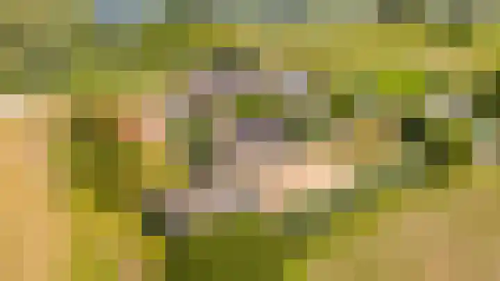 Kuipersveer 31 Heinenoord thumbnail 28