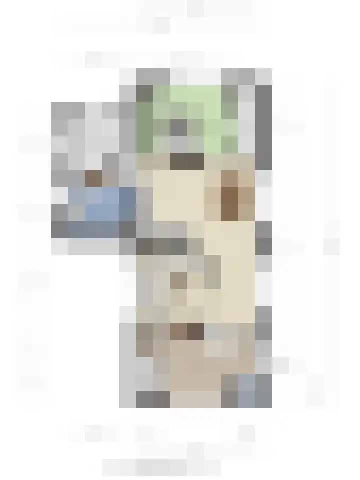 Kuipersveer 31 Heinenoord thumbnail 29