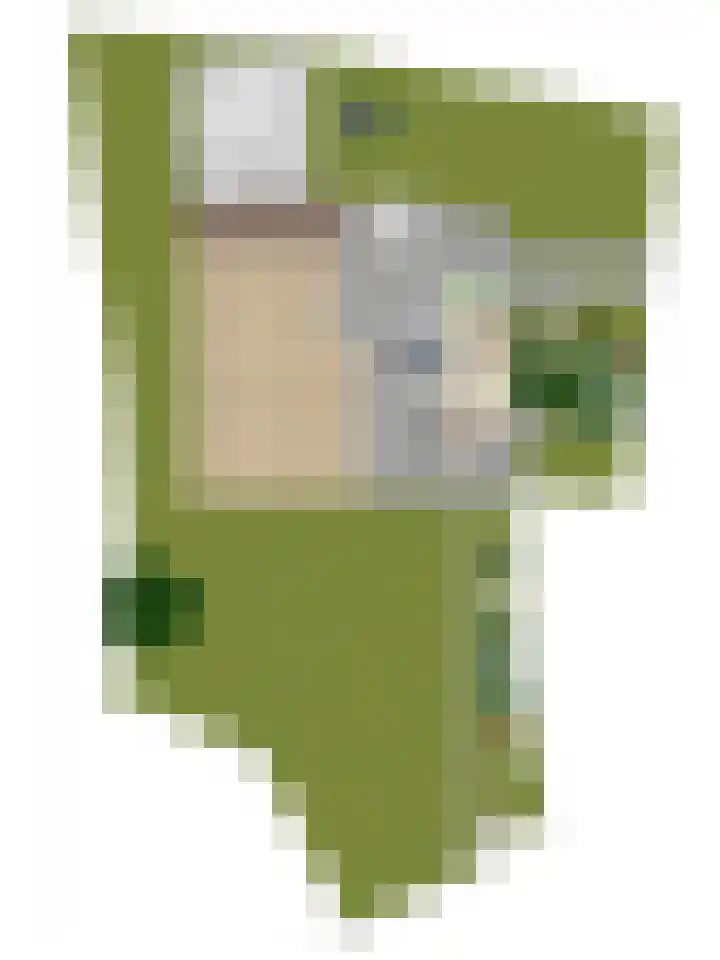 Kuipersveer 31 Heinenoord thumbnail 34