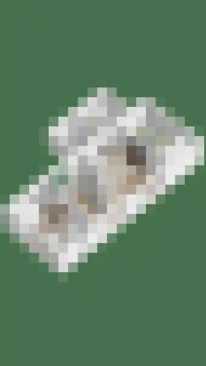 Kuipersveer 31 Heinenoord thumbnail 35