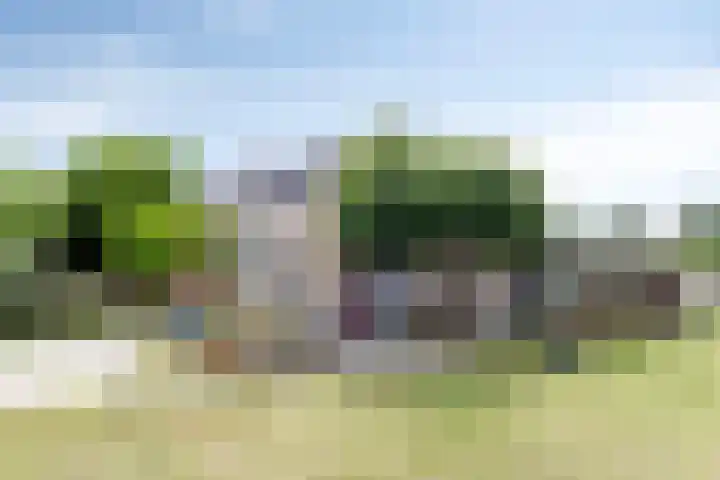 Kuipersveer 31 Heinenoord thumbnail 5