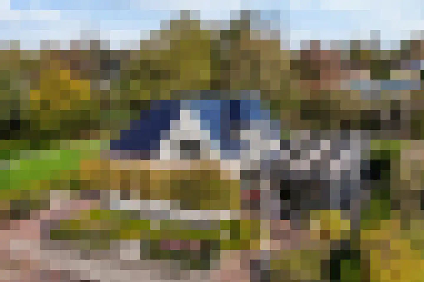 Kuipersweg 13 Buitenpost foto 2