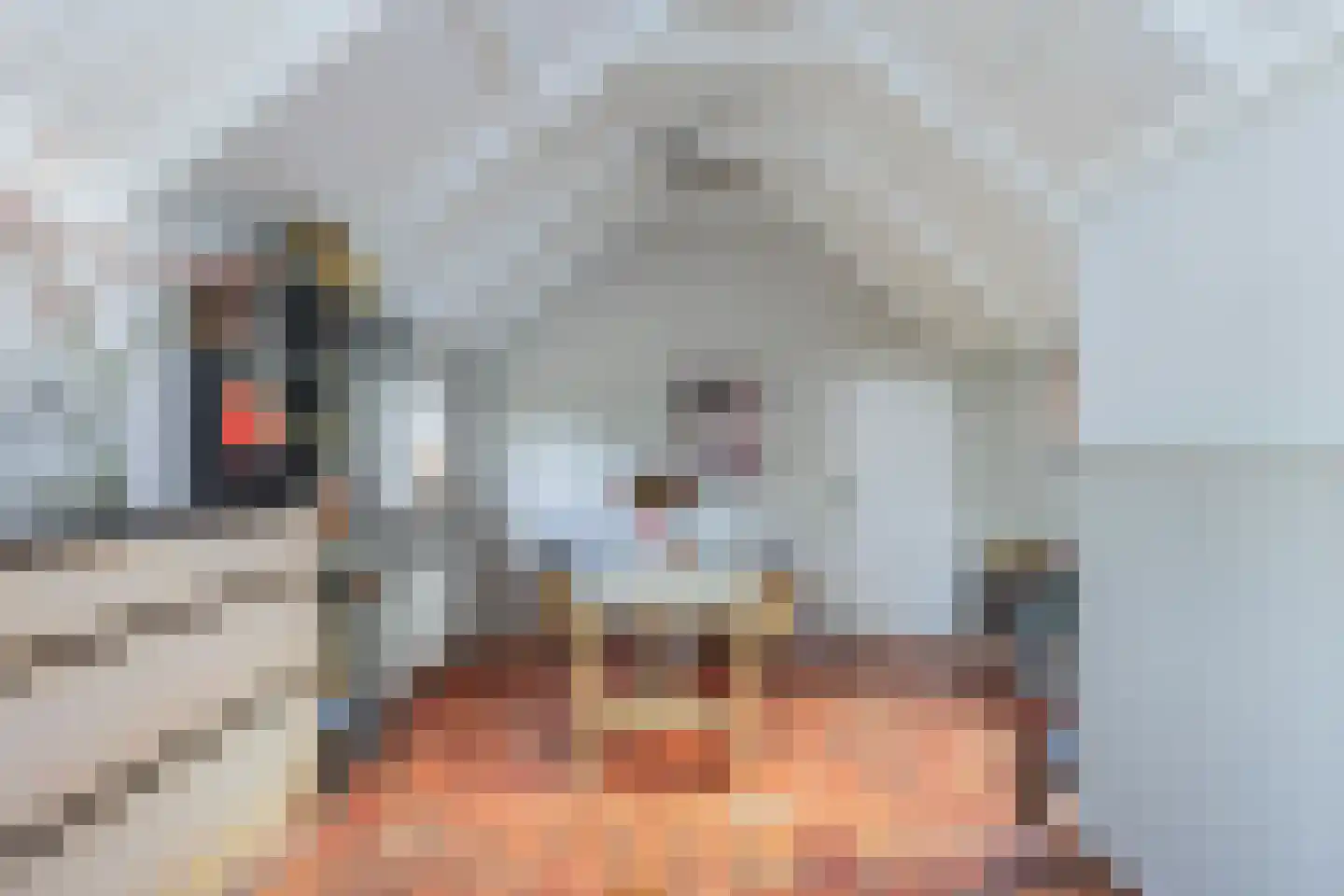 Kuipersweg 13 Buitenpost thumbnail 28