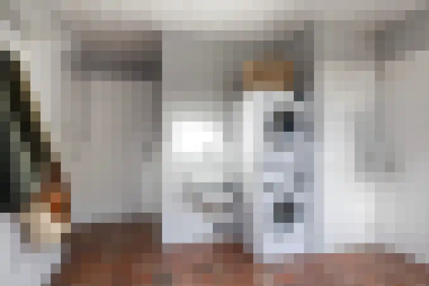 Kuipersweg 13 Buitenpost thumbnail 40