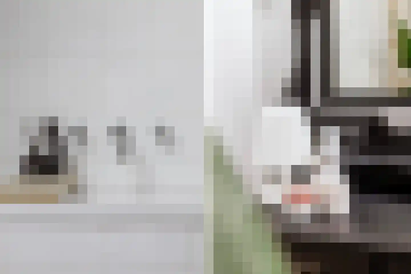Kuipersweg 13 Buitenpost thumbnail 46