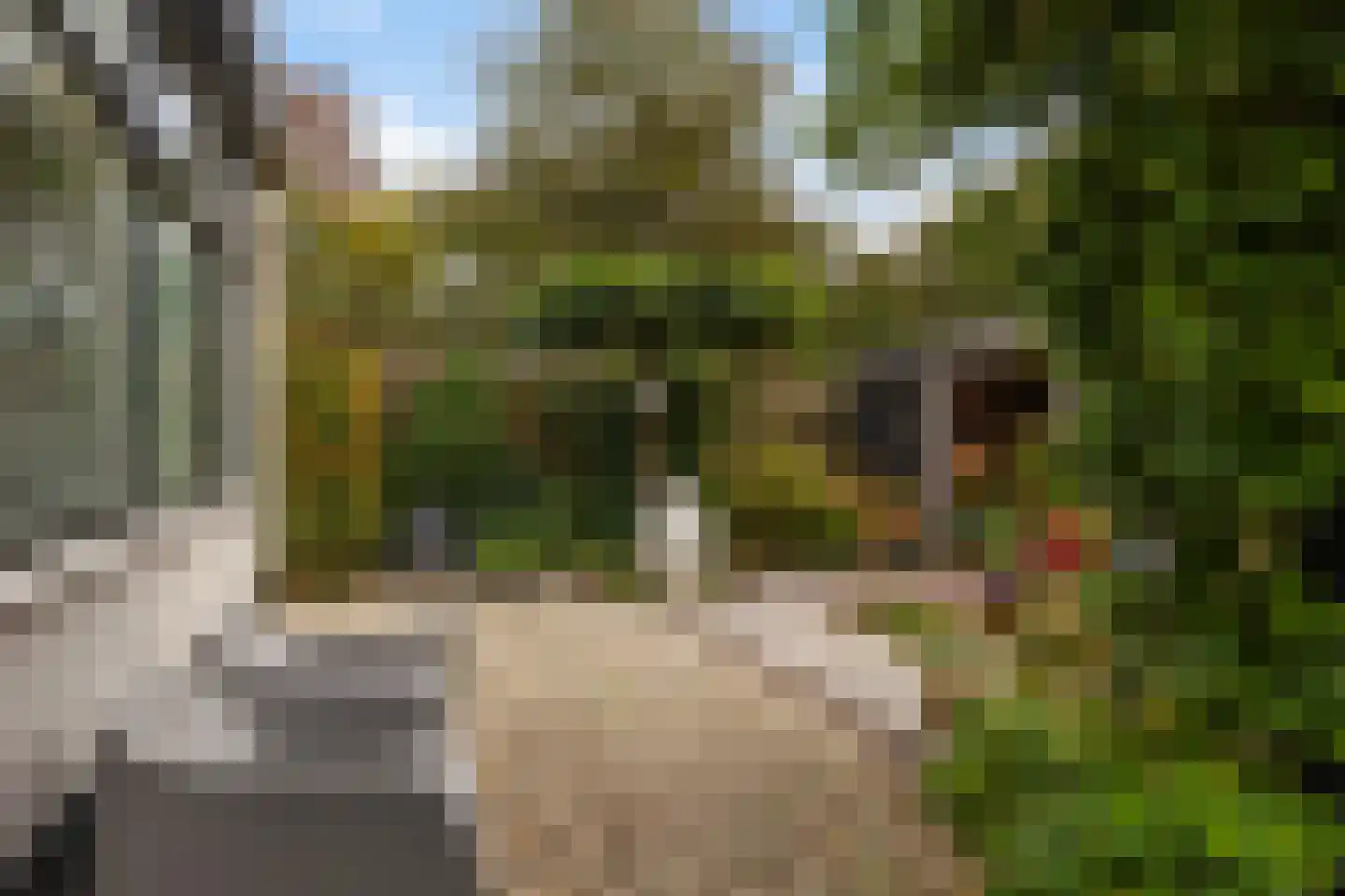 Kuipersweg 13 Buitenpost thumbnail 49