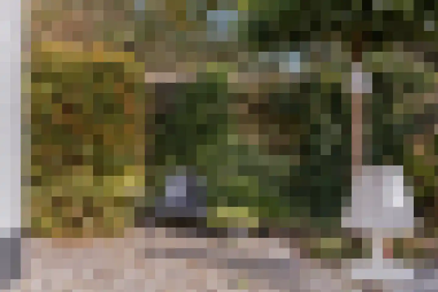Kuipersweg 13 Buitenpost thumbnail 54