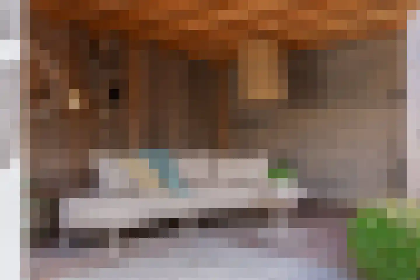 Kuipersweg 13 Buitenpost thumbnail 55
