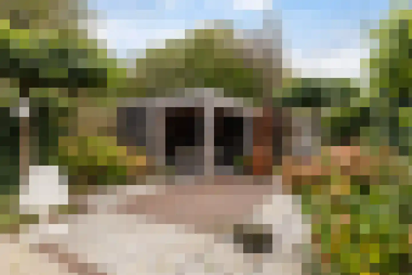 Kuipersweg 13 Buitenpost thumbnail 57