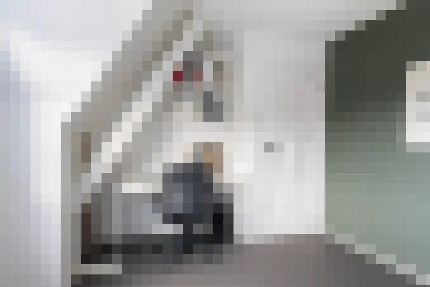 Kuipersweg 13 Buitenpost thumbnail 66