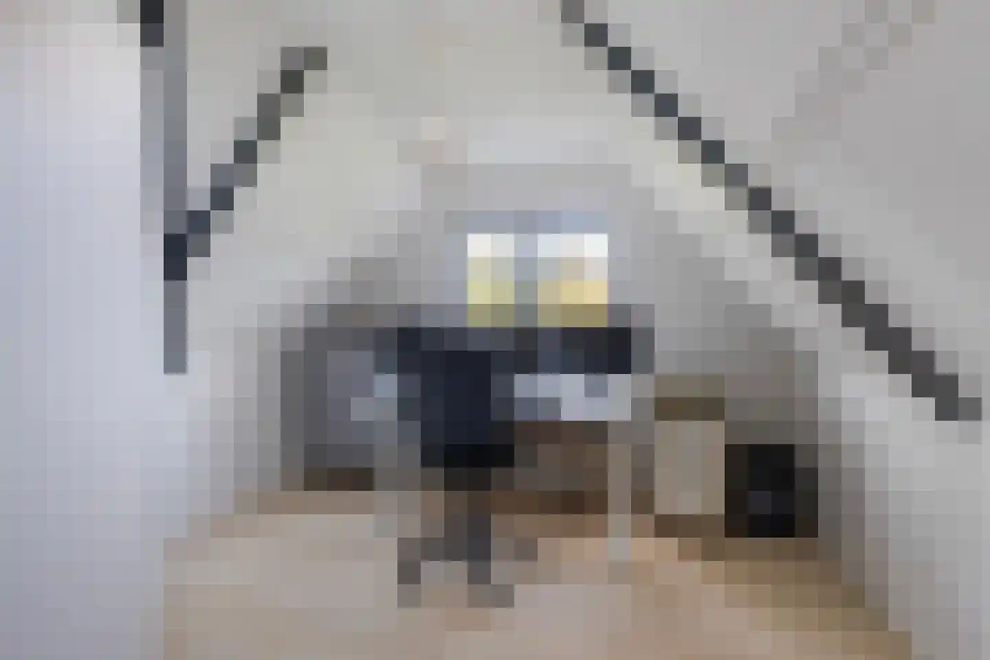 Kuipersweg 13 Buitenpost thumbnail 68