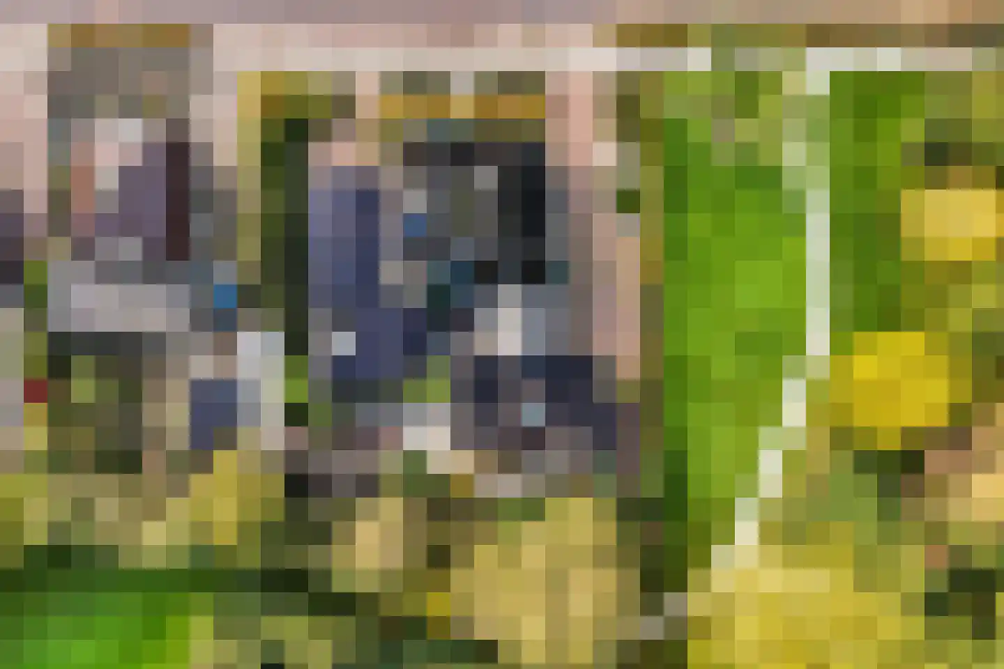 Kuipersweg 13 Buitenpost thumbnail 80
