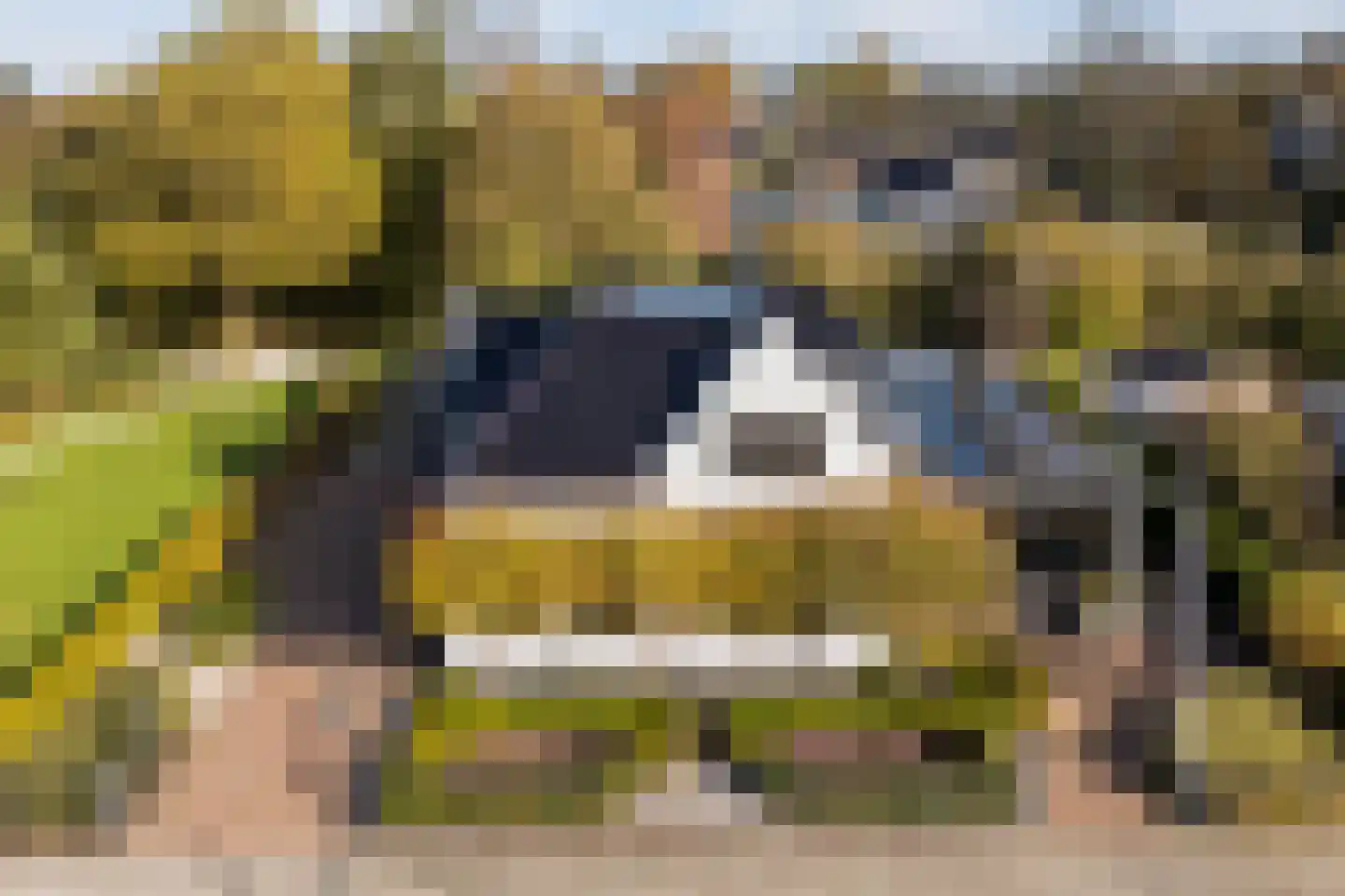 Kuipersweg 13 Buitenpost thumbnail 81