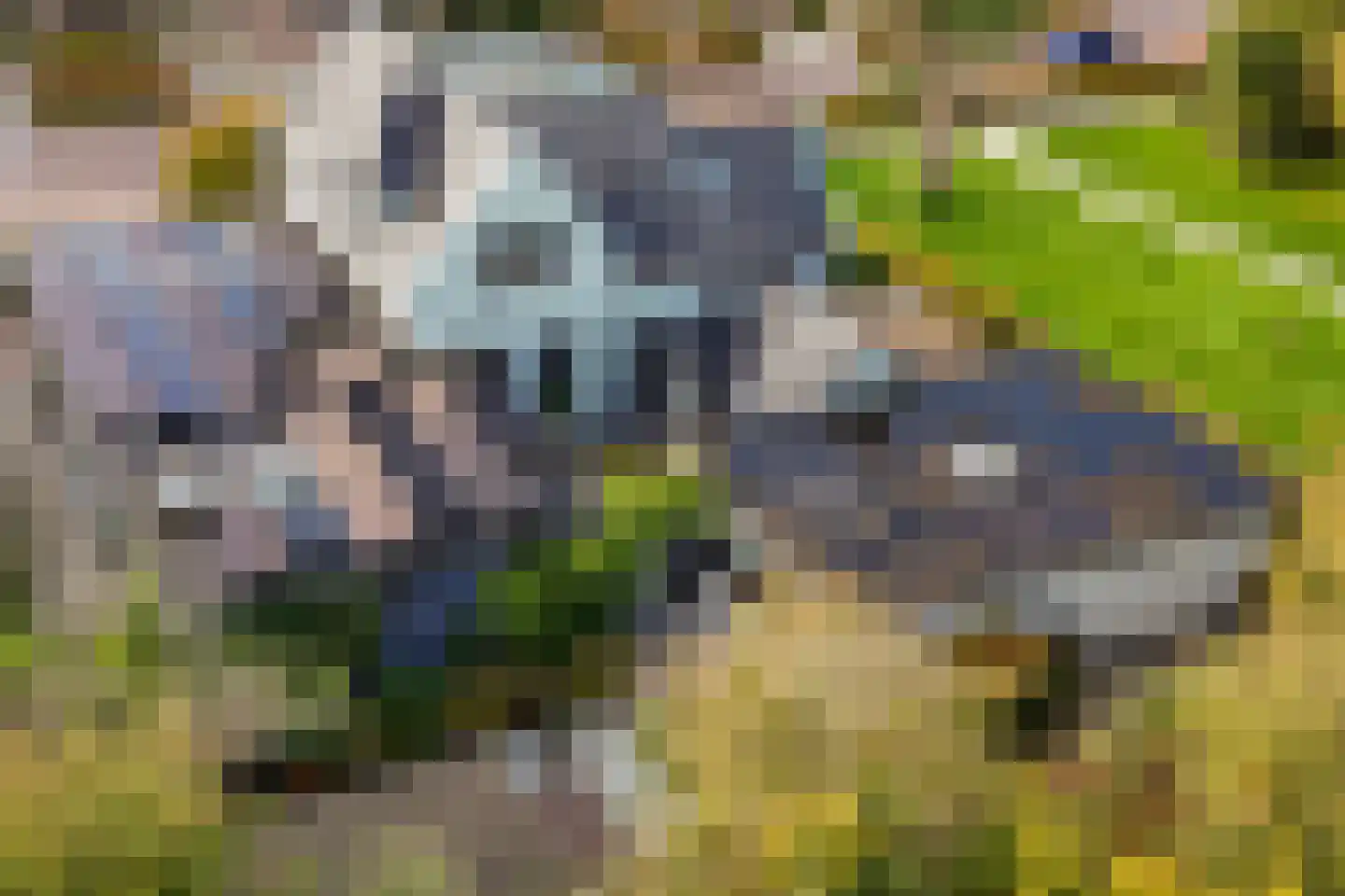 Kuipersweg 13 Buitenpost thumbnail 82