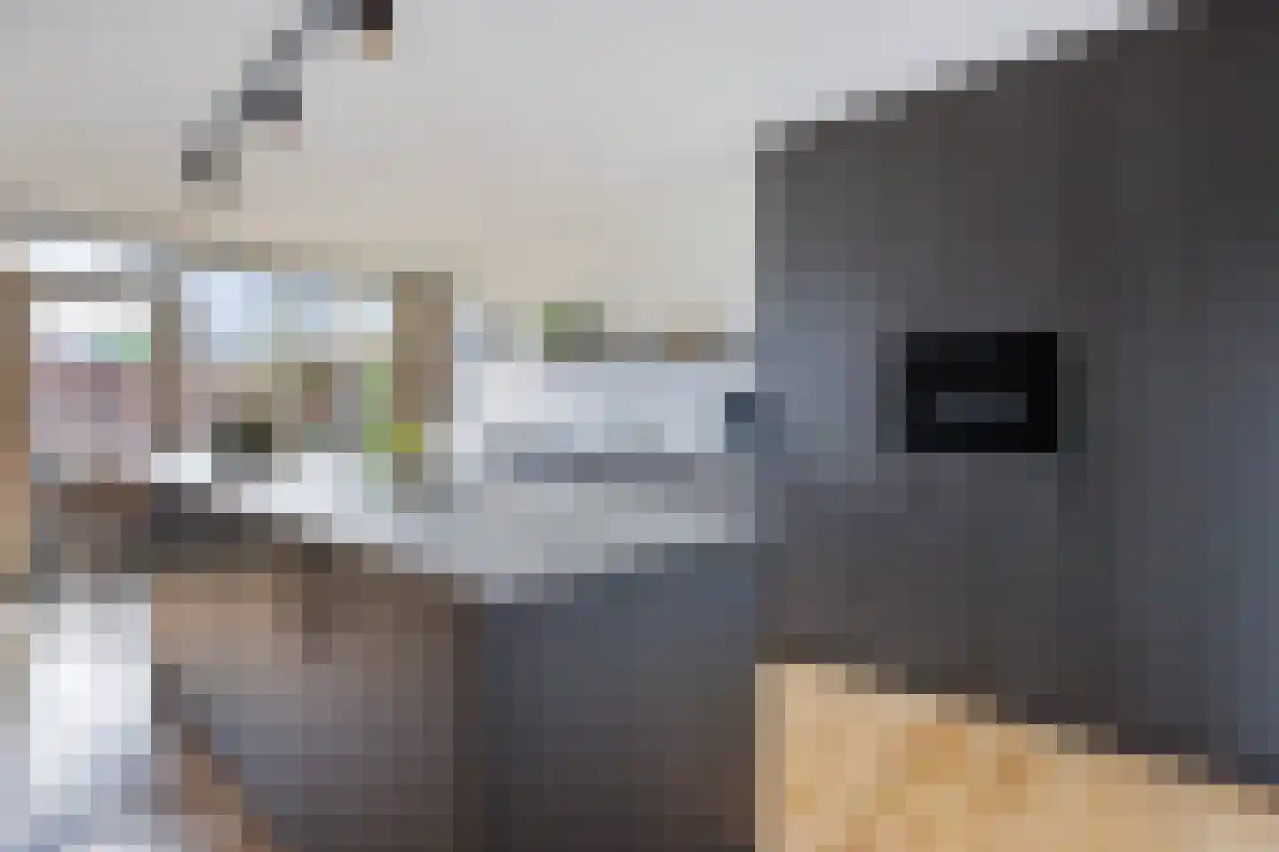 Kuipersweg 17 R Woerden thumbnail 12