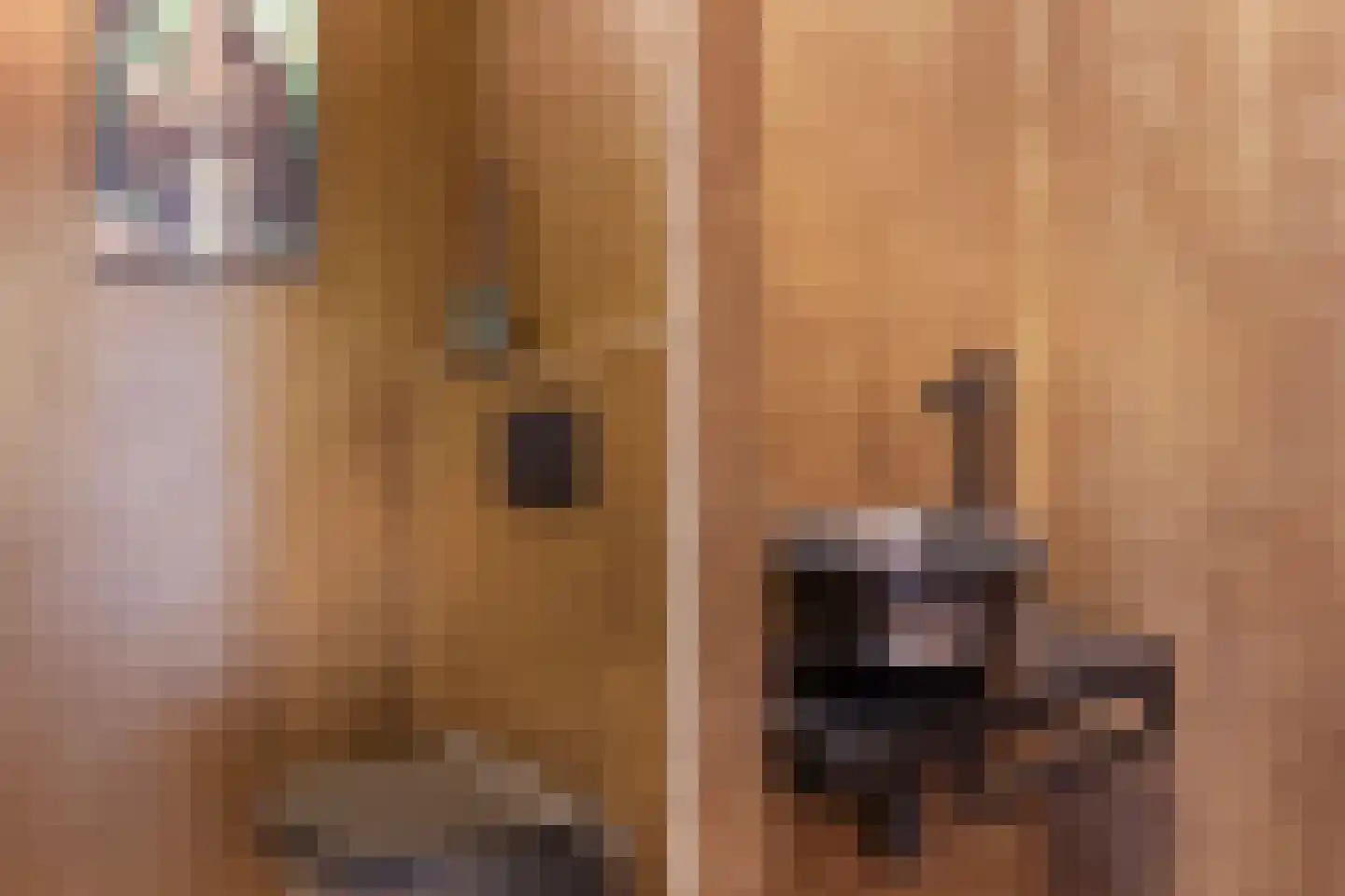 Kuipersweg 17 R Woerden thumbnail 5