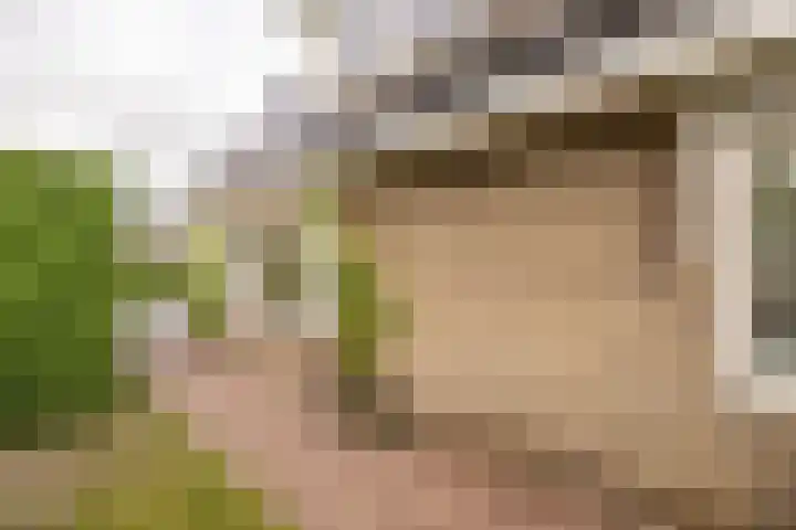 Kuipersweg 30 Buitenpost thumbnail 10