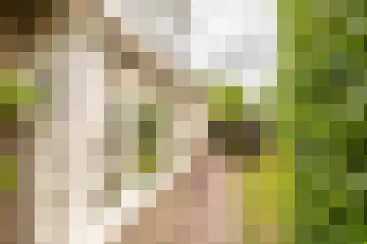 Kuipersweg 30 Buitenpost thumbnail 11
