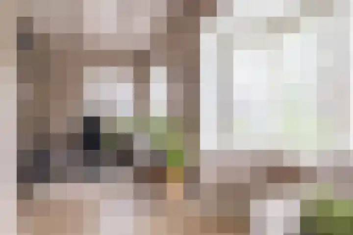Kuipersweg 30 Buitenpost thumbnail 19