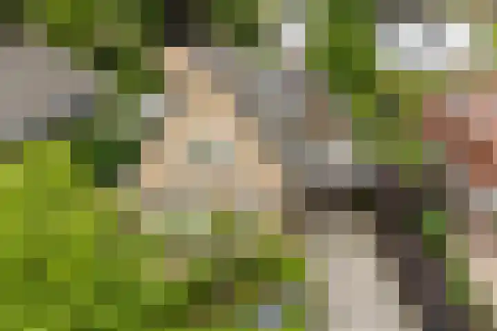 Kuipersweg 30 Buitenpost foto 2