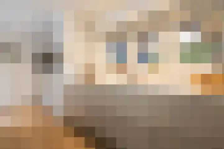 Kuipersweg 30 Buitenpost thumbnail 25