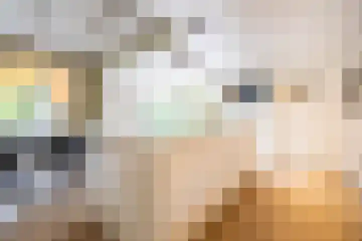 Kuipersweg 30 Buitenpost thumbnail 28