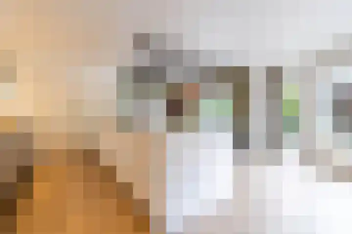 Kuipersweg 30 Buitenpost thumbnail 29
