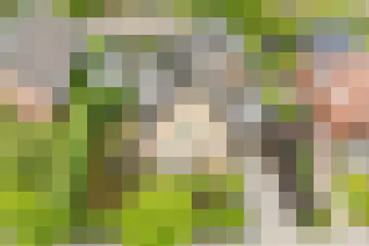 Kuipersweg 30 Buitenpost foto 3