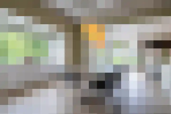 Kuipersweg 30 Buitenpost thumbnail 31