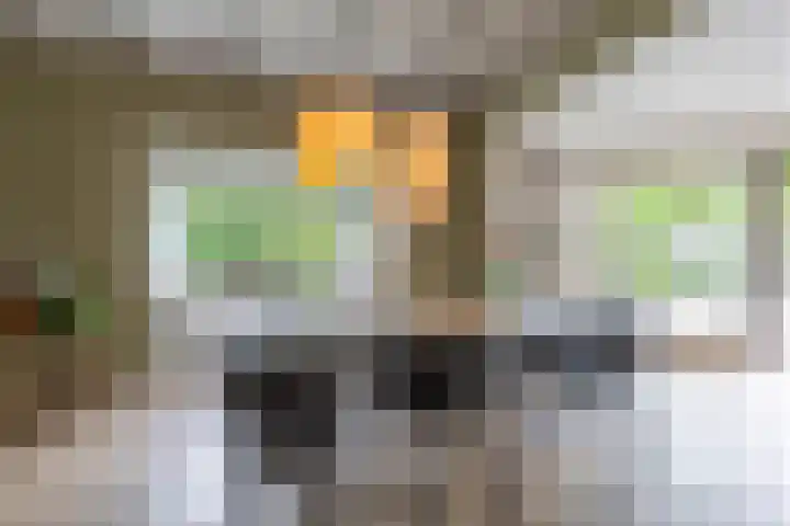 Kuipersweg 30 Buitenpost thumbnail 33