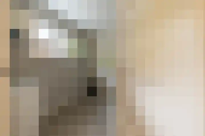 Kuipersweg 30 Buitenpost thumbnail 36