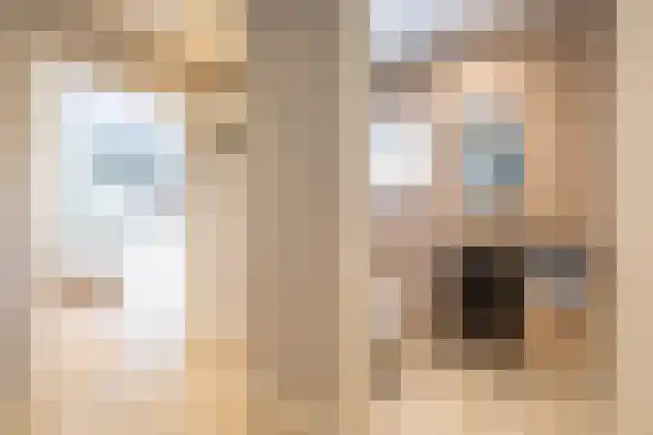 Kuipersweg 30 Buitenpost thumbnail 37