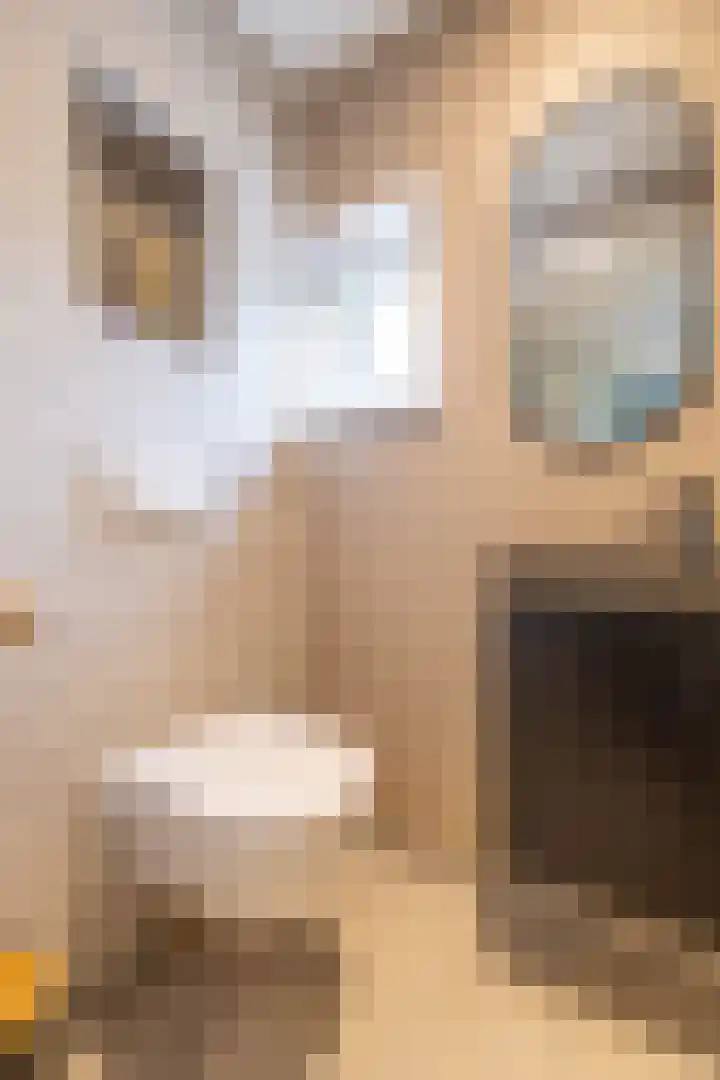 Kuipersweg 30 Buitenpost thumbnail 38