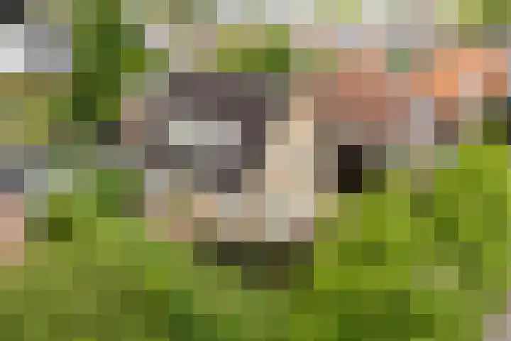Kuipersweg 30 Buitenpost thumbnail 4