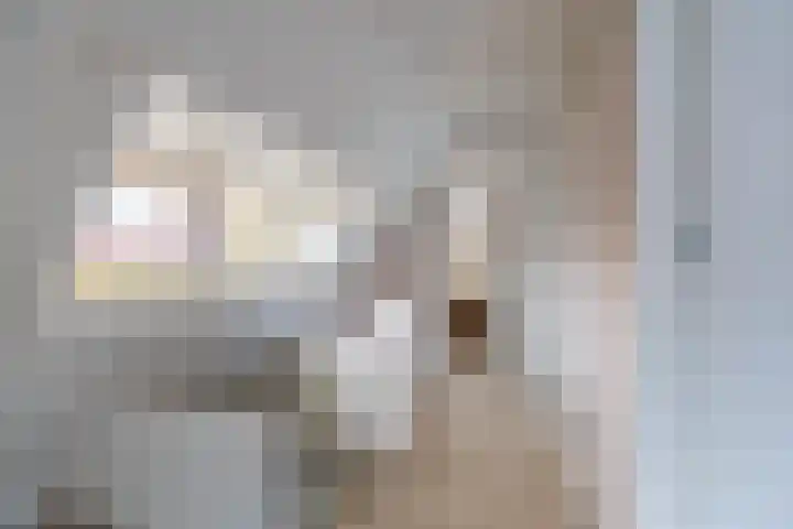 Kuipersweg 30 Buitenpost thumbnail 43