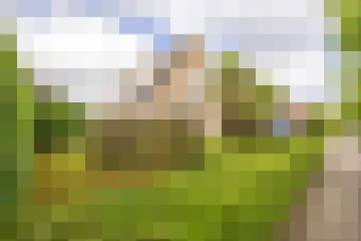 Kuipersweg 30 Buitenpost thumbnail 5