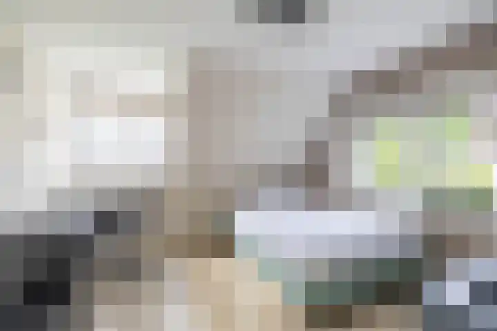 Kuipersweg 30 Buitenpost thumbnail 52