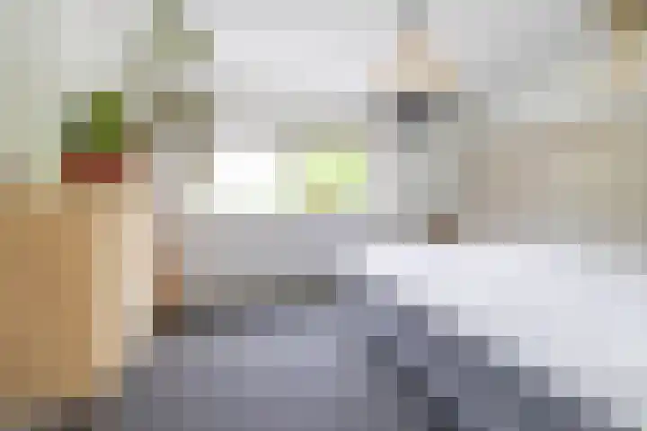 Kuipersweg 30 Buitenpost thumbnail 55
