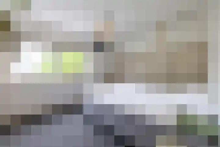 Kuipersweg 30 Buitenpost thumbnail 56