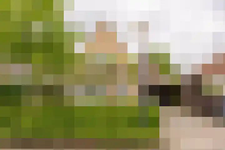 Kuipersweg 30 Buitenpost thumbnail 6