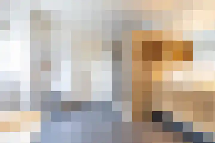 Kuipersweg 30 Buitenpost thumbnail 64