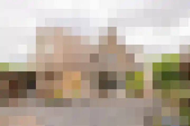 Kuipersweg 30 Buitenpost thumbnail 65