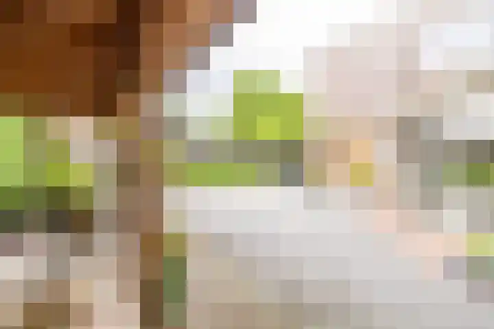 Kuipersweg 30 Buitenpost thumbnail 66