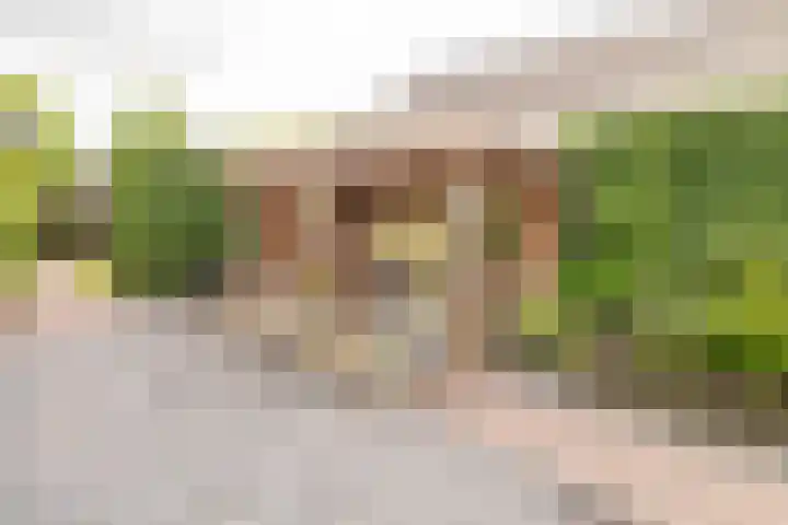 Kuipersweg 30 Buitenpost thumbnail 67
