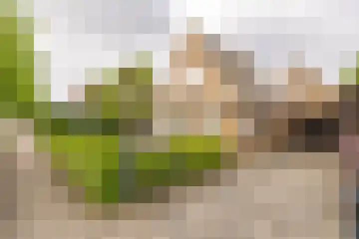Kuipersweg 30 Buitenpost thumbnail 7