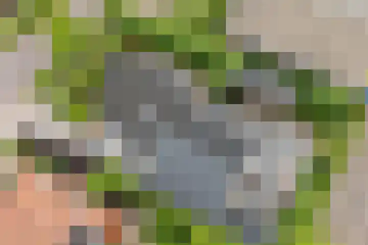 Kuipersweg 30 Buitenpost thumbnail 70