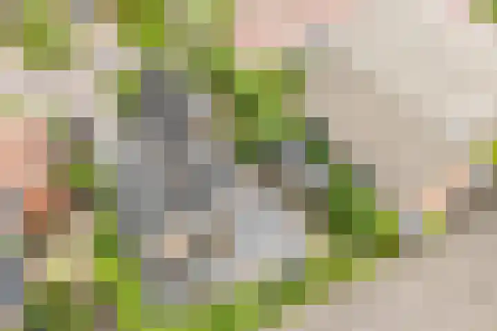 Kuipersweg 30 Buitenpost thumbnail 71
