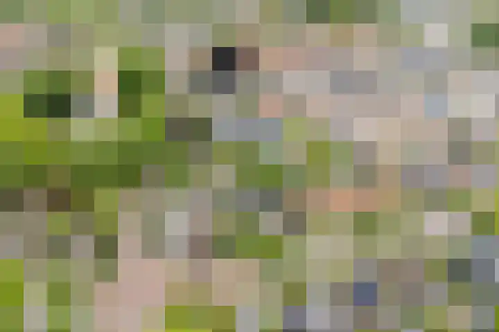 Kuipersweg 30 Buitenpost thumbnail 72
