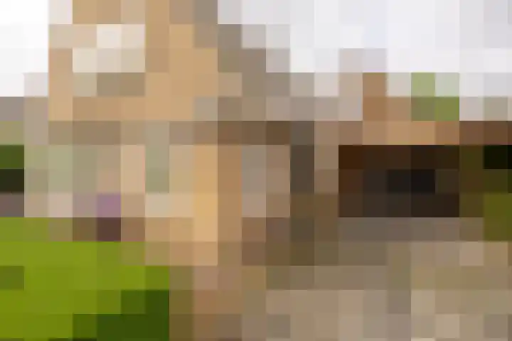 Kuipersweg 30 Buitenpost thumbnail 8